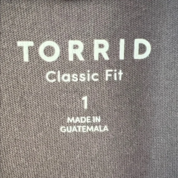 4/$20 Torrid Mauve Short Sleeve Top - Picture 2 of 3